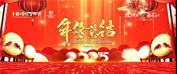 攻坚克难&middot;豁出去干：华派集团&middot;mg冰球突破药业召开2024年度年终总结会