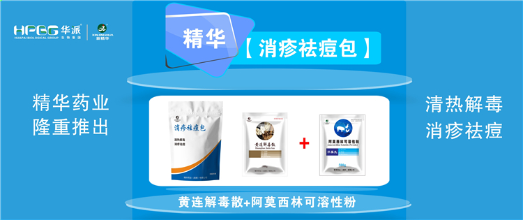 科普：夏秋季节猪湿疹病的防控技术 |【消疹祛痘包】清热解毒、消疹祛痘，防控六畜湿疹病首。