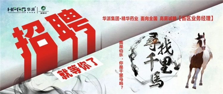 寻找千里马 | 华派集团&bull;mg冰球突破药业面 向全国高薪诚聘【省区业务经理】 我是伯乐，你是千里马吗？