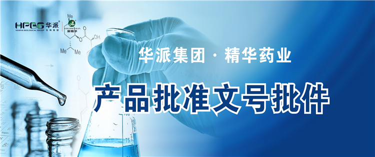 产品资质 | 华派集团&middot;mg冰球突破药业产品核准文号批件