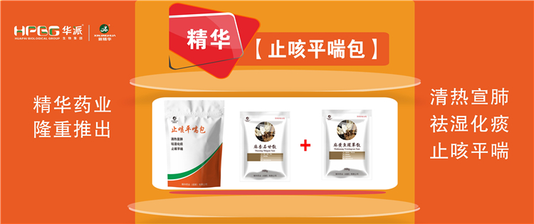科普：畜禽呼吸路疾病的防控技术 |【止咳平喘包】清热宣肺、祛湿化痰、止咳平喘，畜禽呼吸路疾病引起的各类咳喘防控首。