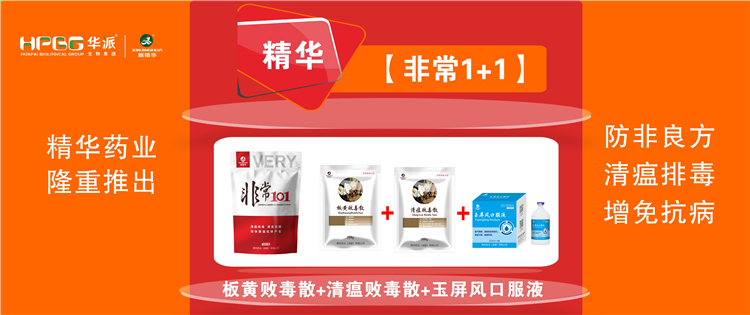 科普：非洲猪瘟防控措施 |【极度1+1】防非良方, 清瘟排毒、增免抗病，加快猪瘟抗体产生!